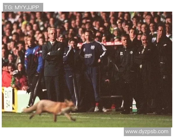 草根出击：这些著名足球球星的逆袭之路与成长故事